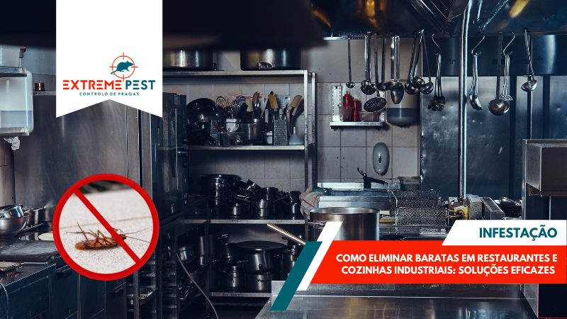 Infestações em Cozinhas