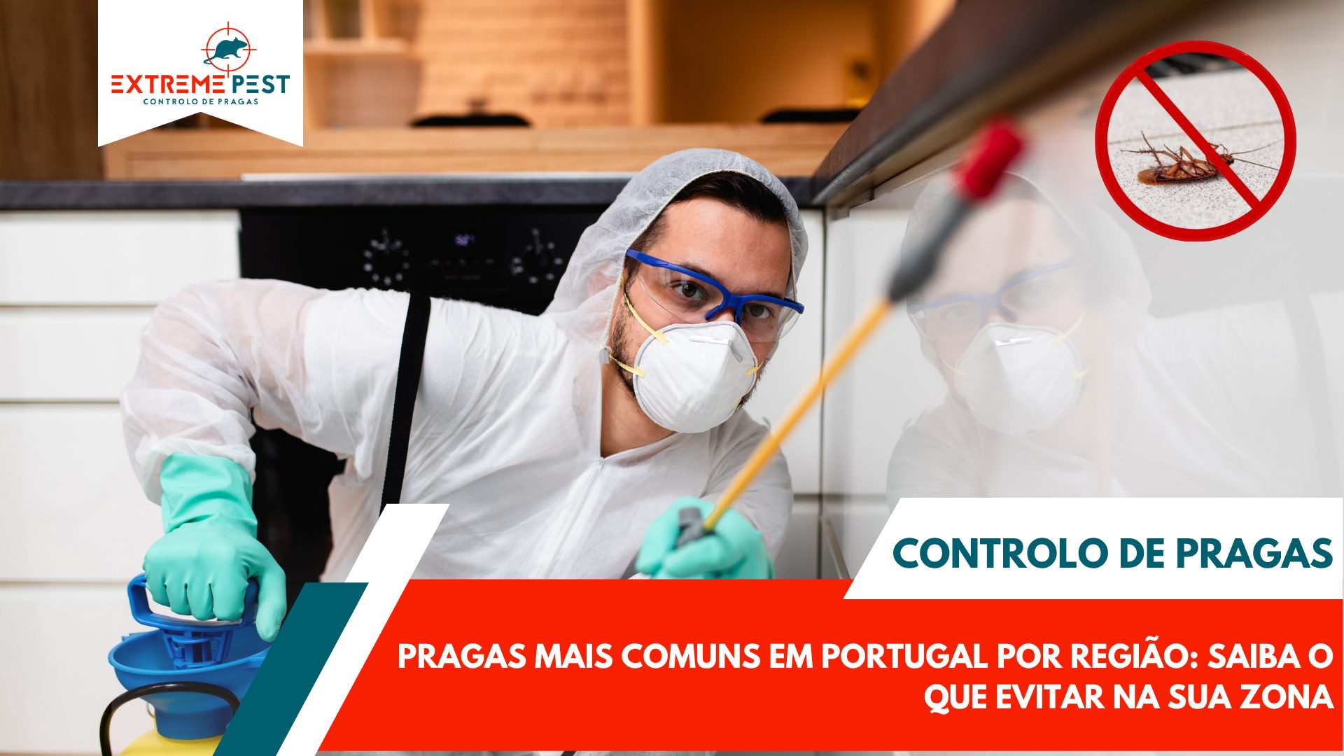 Pragas Mais Comuns em Portugal por Região Saiba o Que Evitar na Sua Zona