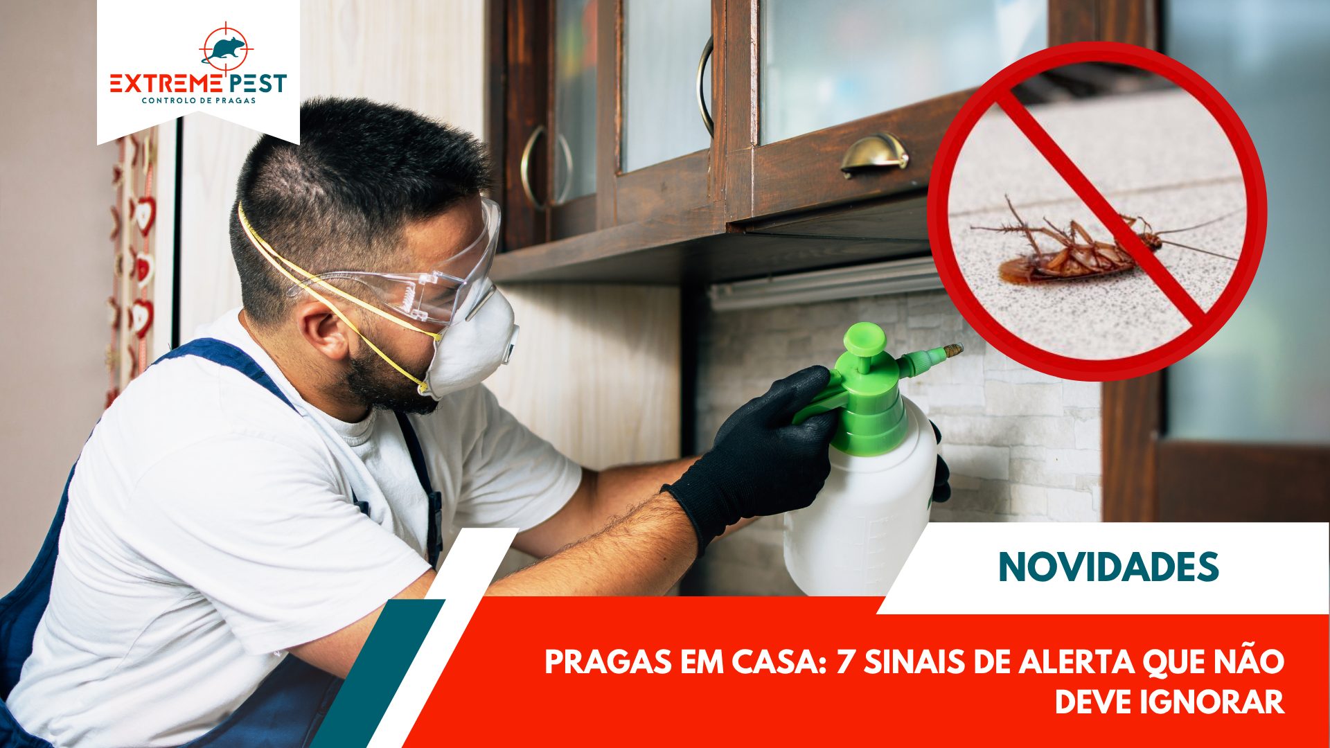 Pragas em Casa 7 Sinais de Alerta Que Não Deve Ignorar