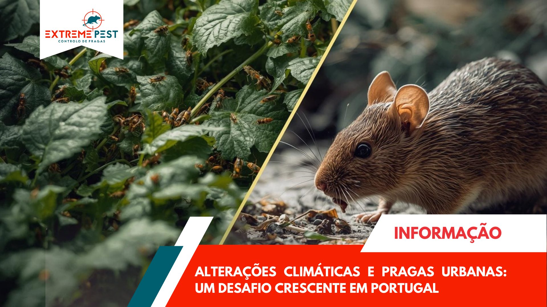 Alterações Climáticas e Pragas Urbanas_ Um Desafio Crescente